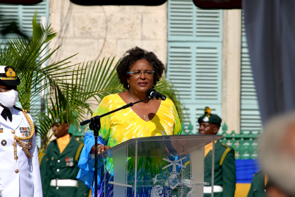 2020 Independence Day Parade and National Awards Ceremony (50665844542)