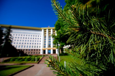 22.05.2020 Ziua Parlamentului 2020 (49921582338)