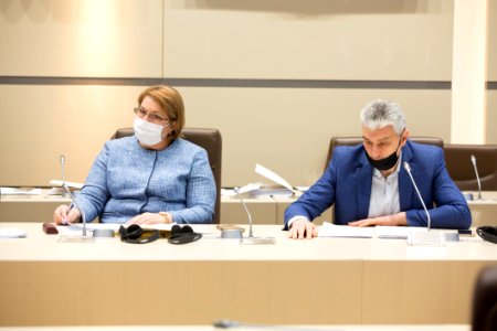 22.04.2020 Sedinta Comisiei Economie, Buget si Finante (49804982232)