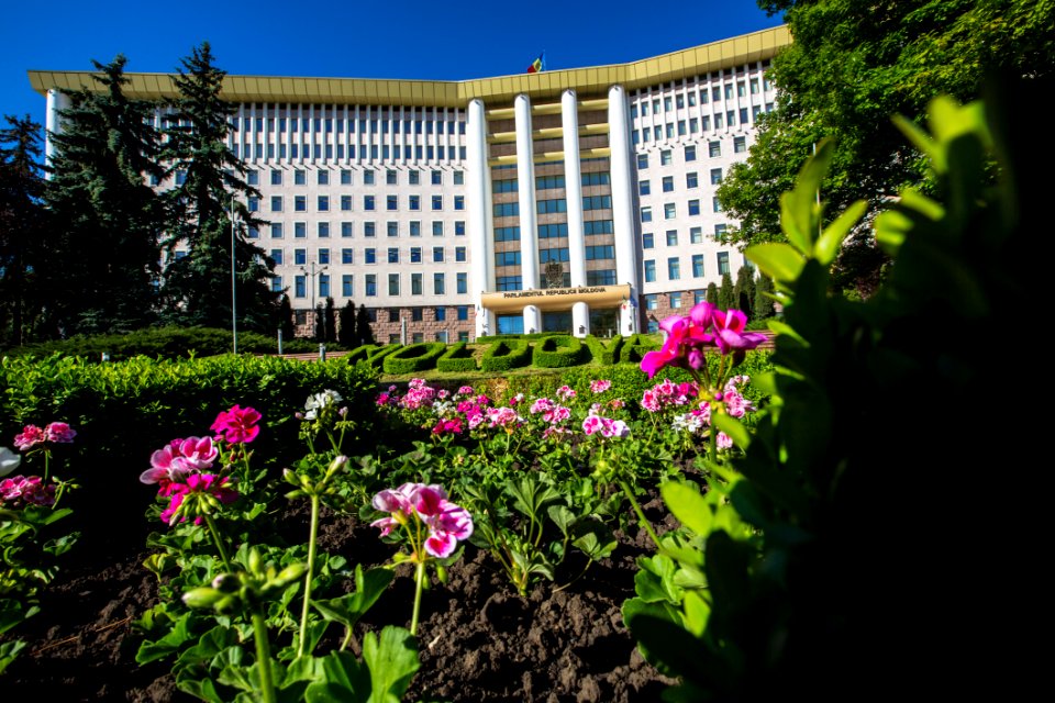 22.05.2020 Ziua Parlamentului 2020 (49921582513)