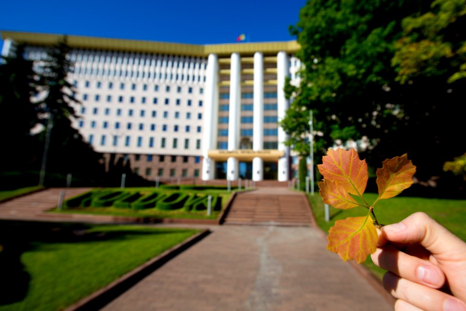 22.05.2020 Ziua Parlamentului 2020 (49921582403)