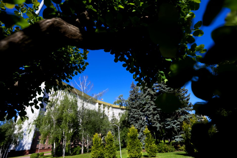 22.05.2020 Ziua Parlamentului 2020 (49922097506)
