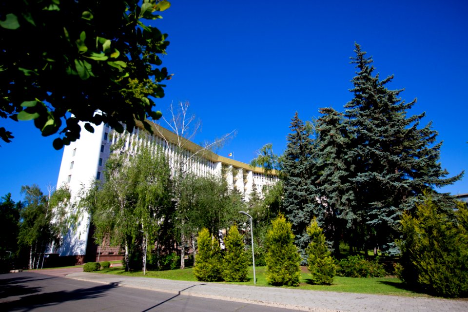22.05.2020 Ziua Parlamentului 2020 (49922097591)