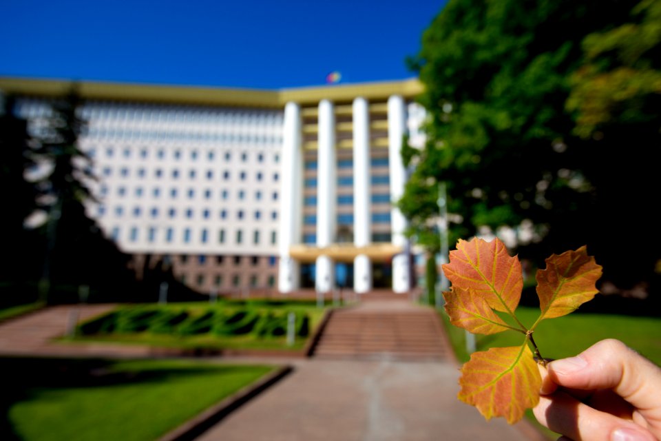 22.05.2020 Ziua Parlamentului 2020 (49922097996)
