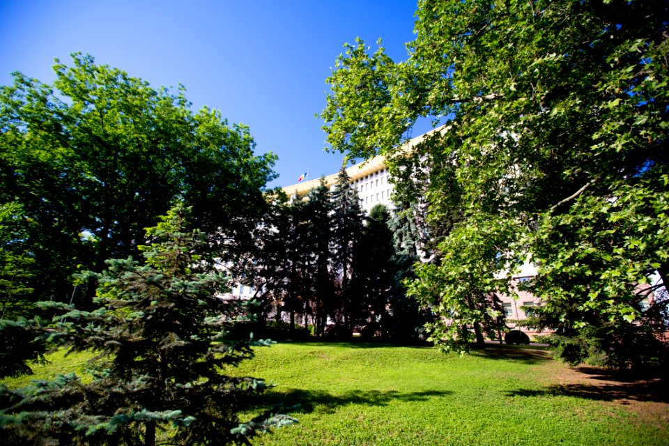 22.05.2020 Ziua Parlamentului 2020 (49922097811)