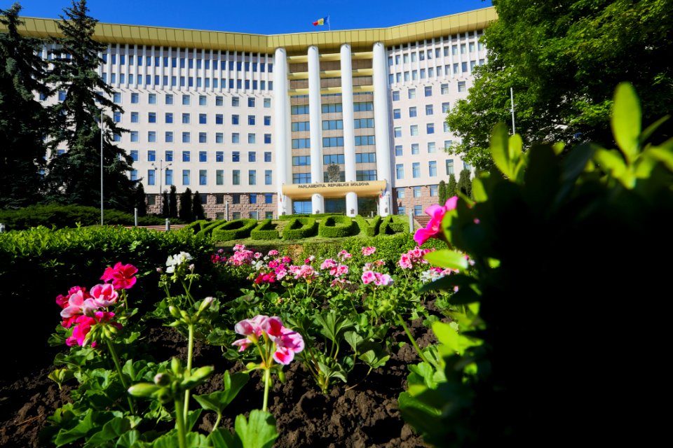 22.05.2020 Ziua Parlamentului 2020 (49922098106)