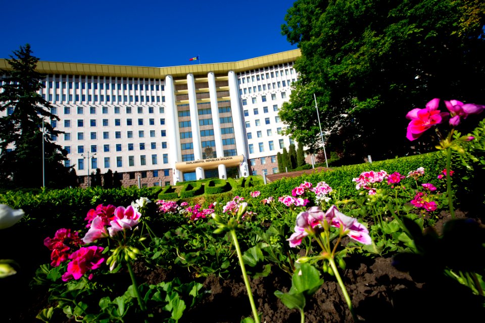 22.05.2020 Ziua Parlamentului 2020 (49922098091)