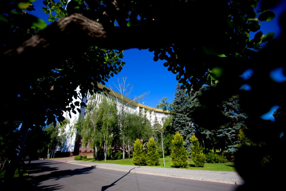 22.05.2020 Ziua Parlamentului 2020 (49922402582)