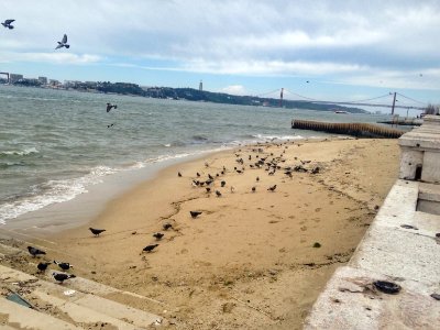 25 de Abril Bridge (24330679278) photo