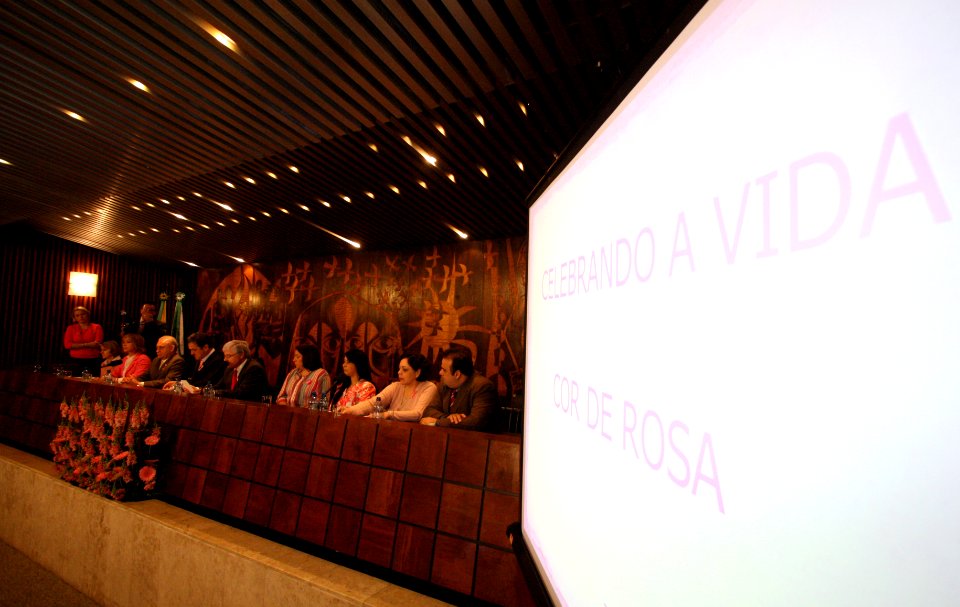 26 10 - Outubro Rosa (6282868957)