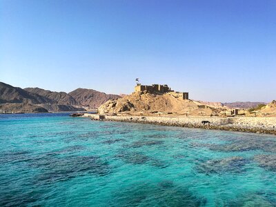 Beautiful view summer corals photo