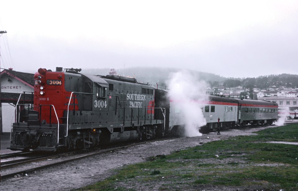 3 of Roger Puta's SP Del Monte Photos (32908541472)
