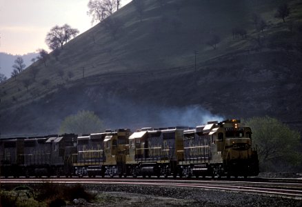 3 of Roger Puta's at Caliente, CA (31012602965) photo