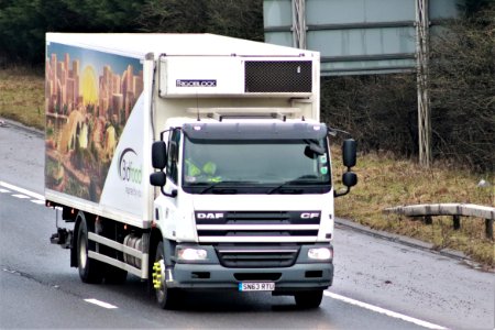 34-365 Daf Refrigerated Truck (50908071097)