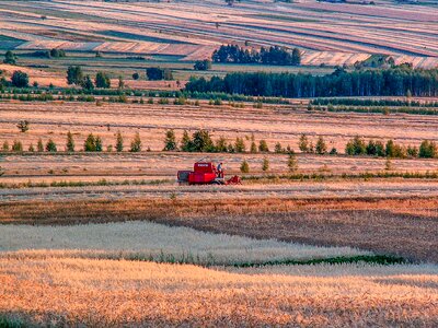 Straw field poland village