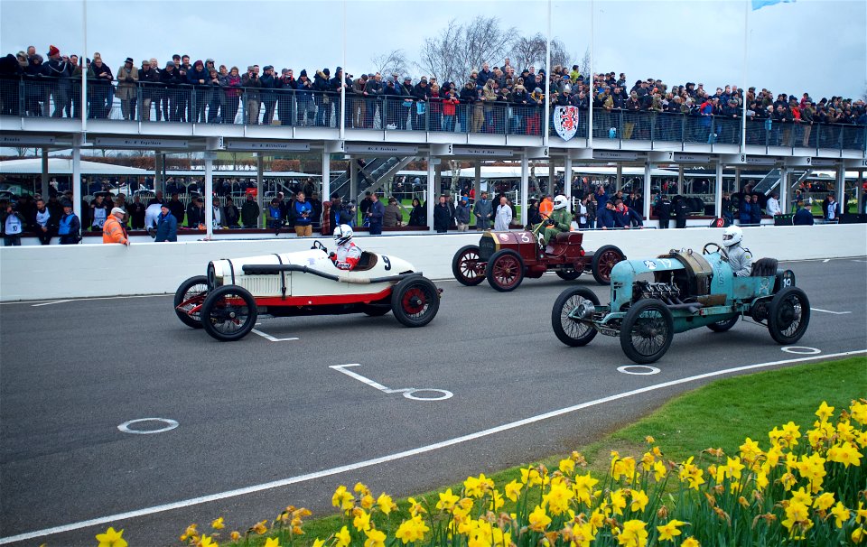 75th Goodwood Members Meeting (33538178465)