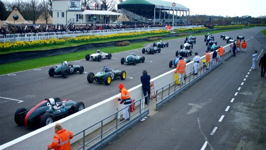 75th Goodwood Members Meeting (33409527301)