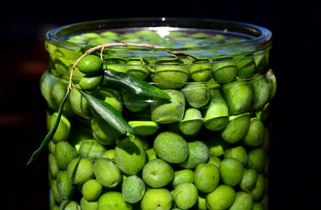 Water fresh fresh olives
