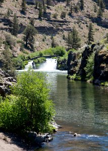 8698 deschutes at steelhead falls sall odfw (20864887172)