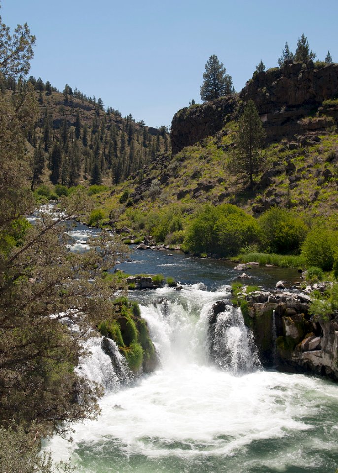 8705 deschutes at steelhead falls sall odfw (20686550858)