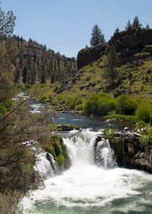 8705 deschutes at steelhead falls sall odfw (20686550858)