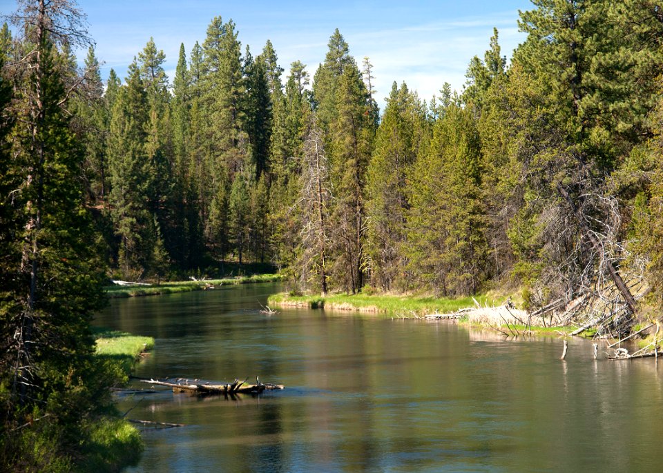 8735 deschutes at lapine sall odfw (20881744431)
