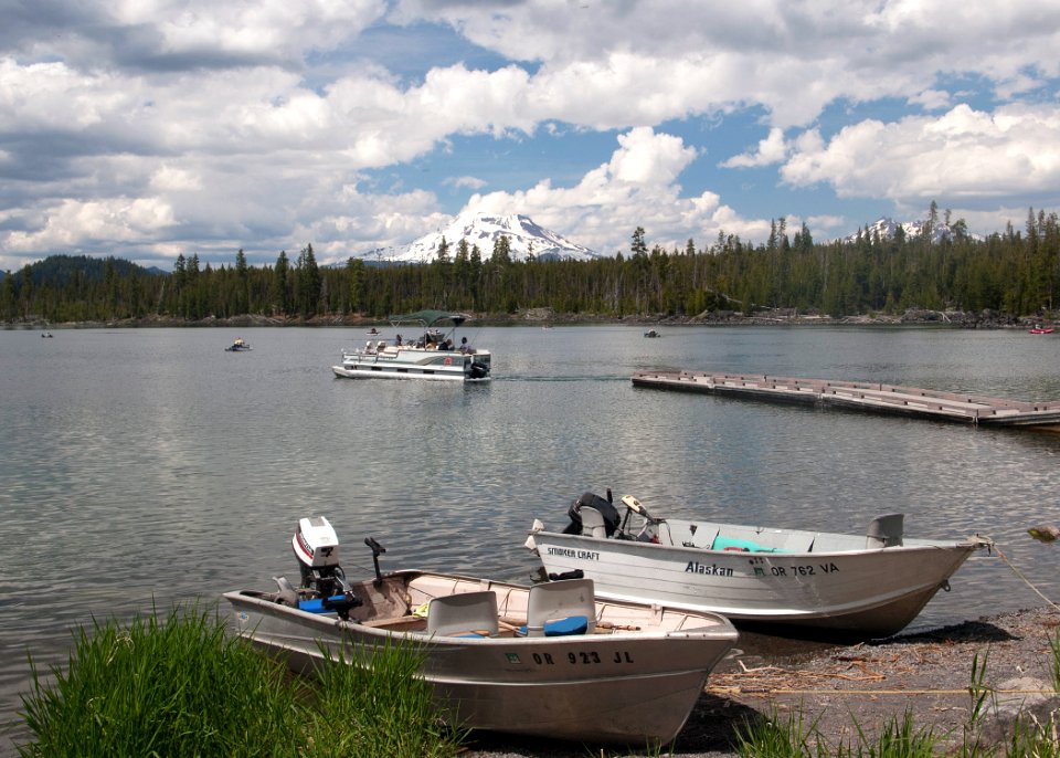 8890 lava lake sall odfw (20251934314)