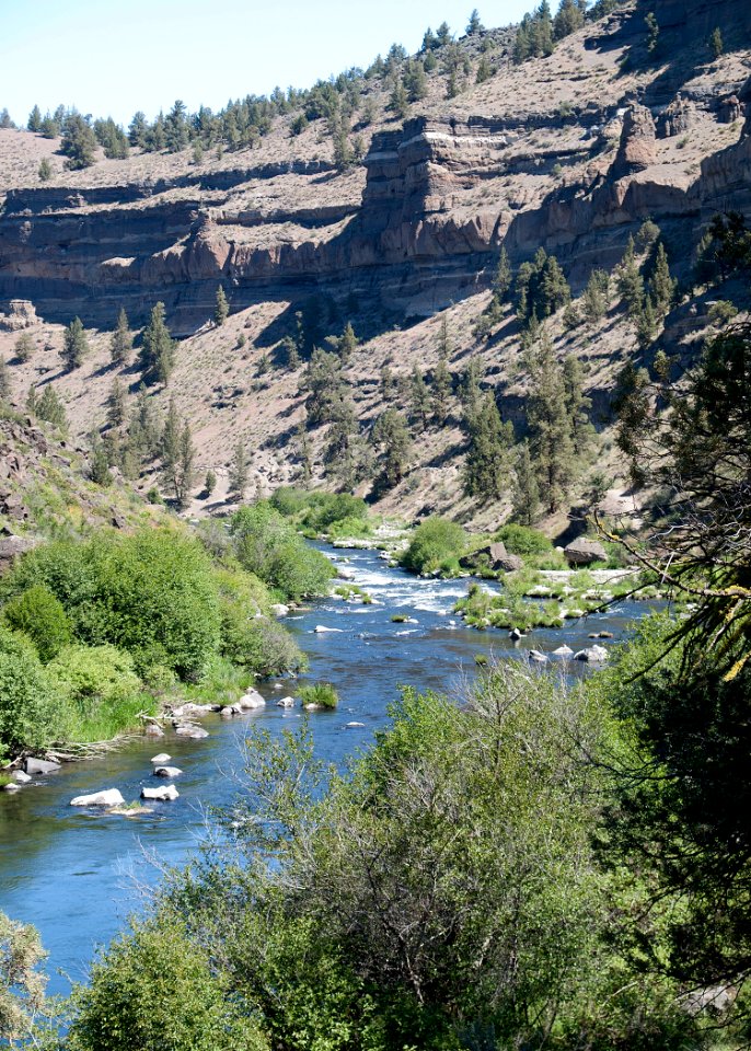8599 deschutes at steelhead falls sall odfw (20686472790)