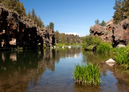 8626 deschutes at steelhead falls sall odfw (20848261836)