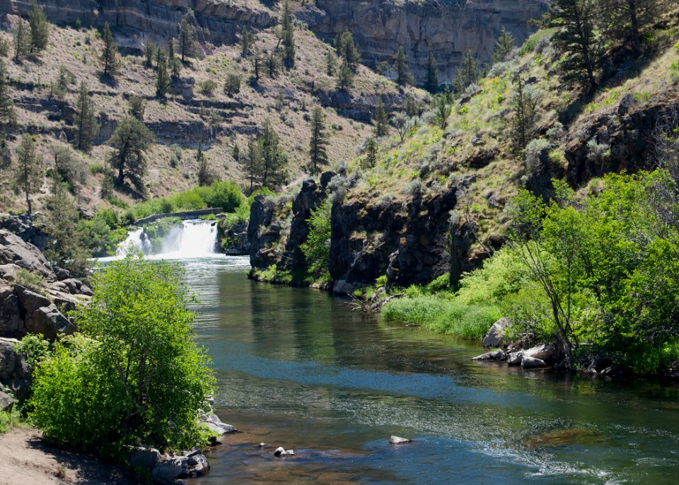 8700 deschutes at steelhead falls sall odfw (20253525383)
