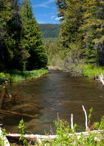 8770 odell creek sall odfw (20686464700)