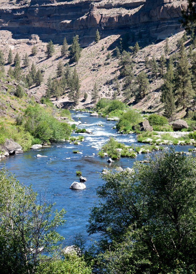 8600 deschutes at steelhead falls sall odfw (20251946514)