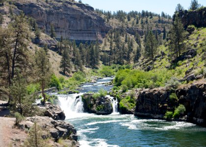 8703 deschutes at steelhead falls sall odfw (20881747081)