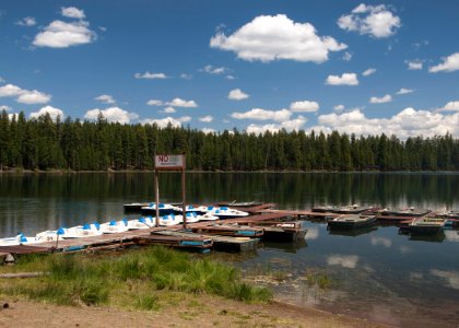 8843 south twin boats sall odfw (20687782649)