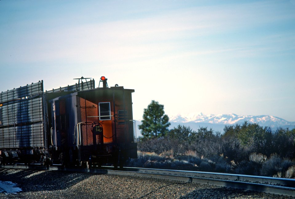 A Run By in the Shastas -- 4 Photos (33180943882)