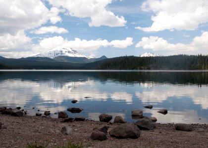 8931 elk lake sall odfw (20848248416)