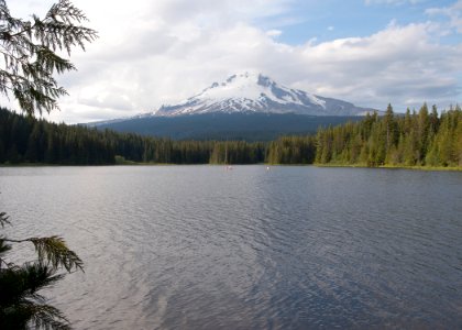 8950 trillium lake sall odfw (20253511673)