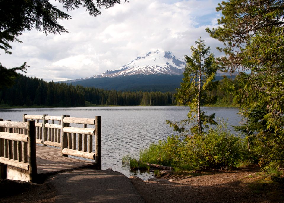 8963 trillium lake sall odfw (20874520895)