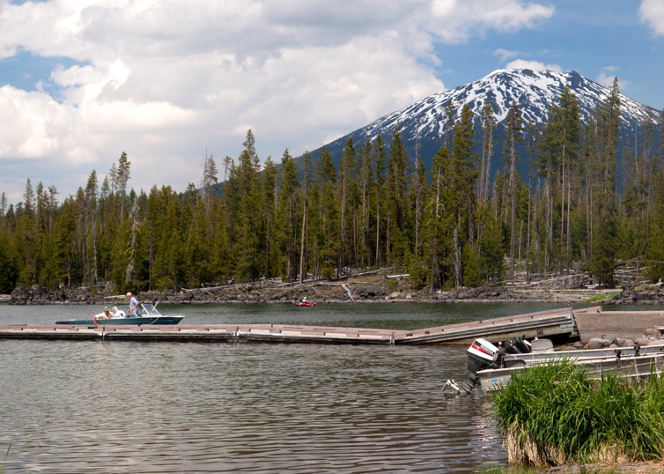 8915 lava lake sall odfw (20874523575)