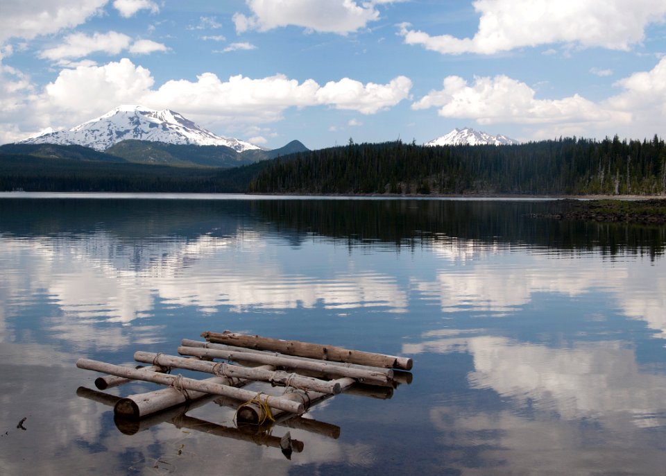 8939 elk lake sall odfw (20848248166)