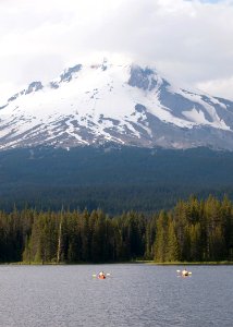 8954 trillium lake sall odfw (20253511493)