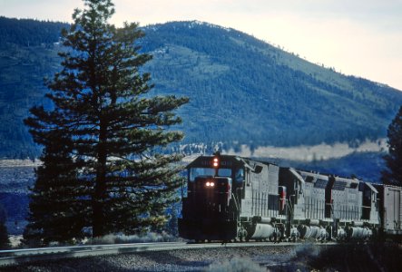 A Run By in the Shastas -- 4 Photos (33208167591)