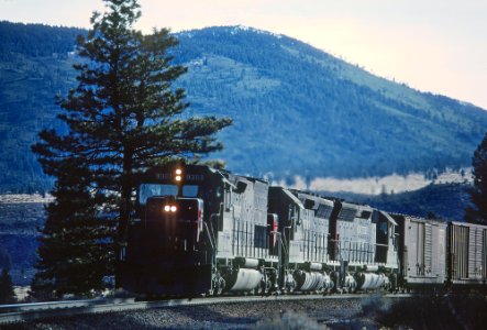 A Run By in the Shastas -- 4 Photos (32953513410)