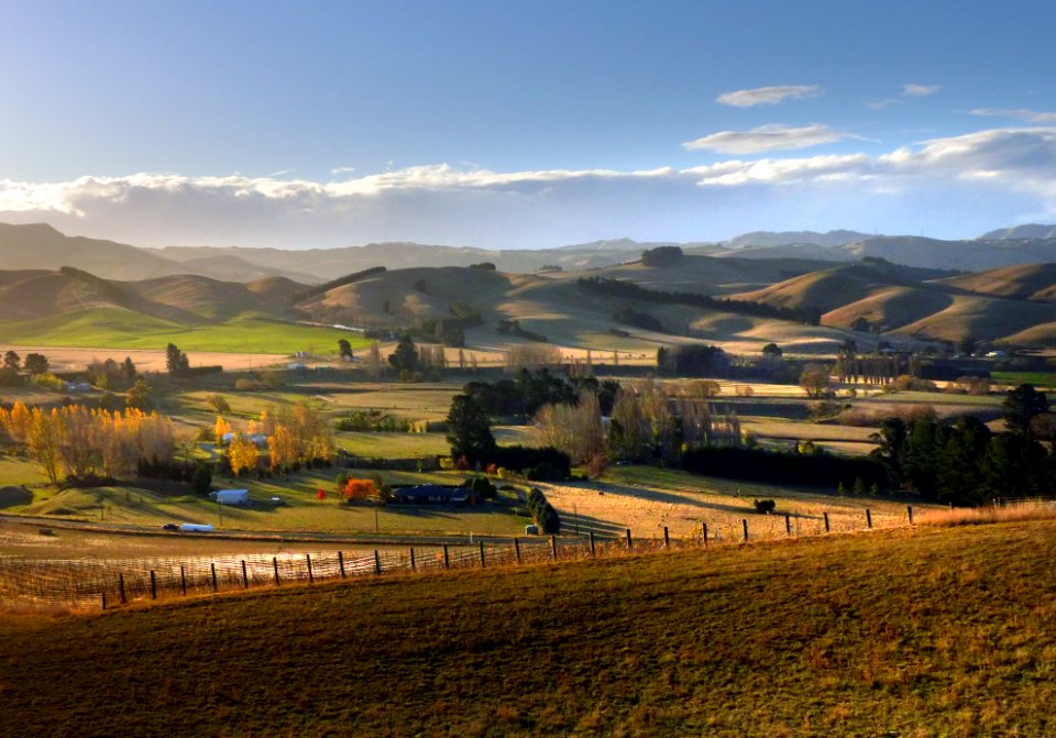 A rural outlook. (51373201654)