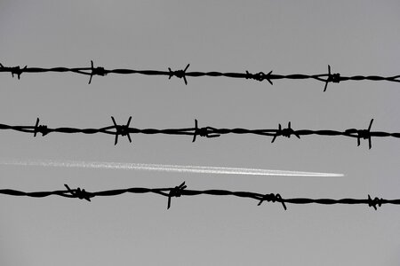 Aircraft black and white thread photo