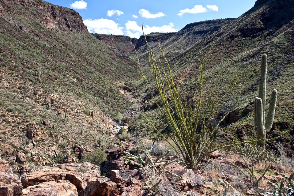 Agua Fria National Monument (26092930583)