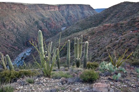 Agua Fria National Monument (26603858832)