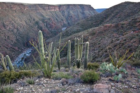 Agua Fria National Monument (26603858832) photo