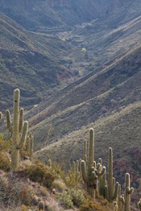 Agua Fria National Monument (26696798795)