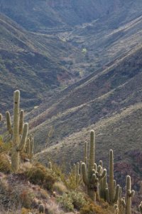 Agua Fria National Monument (26696798795) photo